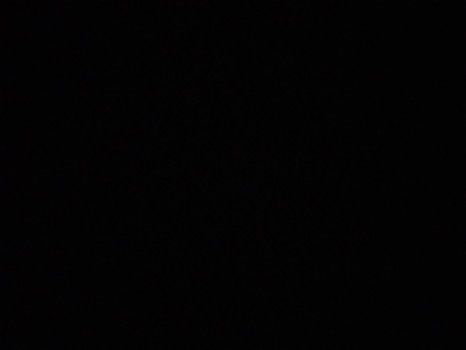 windycitygirl69-16452319